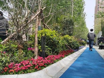 &ldquo;300米见绿,500米见园&rdquo;郑州将新建多个月季主题公园!