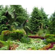 立体景观与园林绿化 从设计到施工的全方位解析