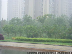 园林景观工程设计、施工与资料应用全解析