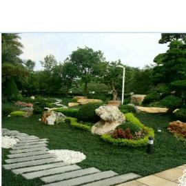 上海绿化工程设计施工全攻略 从新建改造到鲜花绿植养护