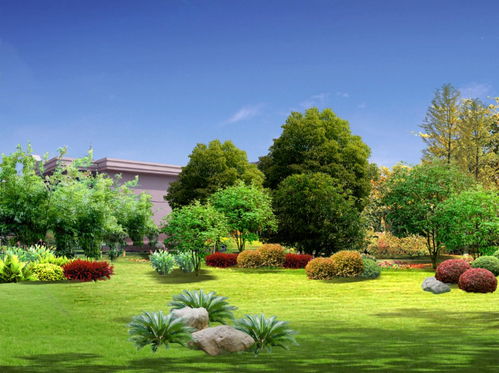 绿色“逆行”筑希望 火神山医院绿化工程24小时奇迹上线